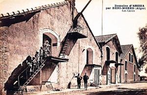 Beni-Mered - Domaine d'Abziza - Caves